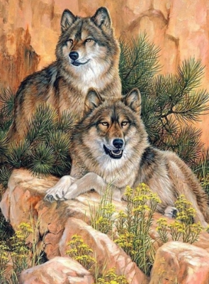 Wolves 08 - Specially ordered for you. Delivery is approximately 4 - 6 weeks.