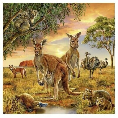 Aussie Wildlife  - Full Drill Diamond Painting - Specially ordered for you. Delivery is approximately 4 - 6 weeks.