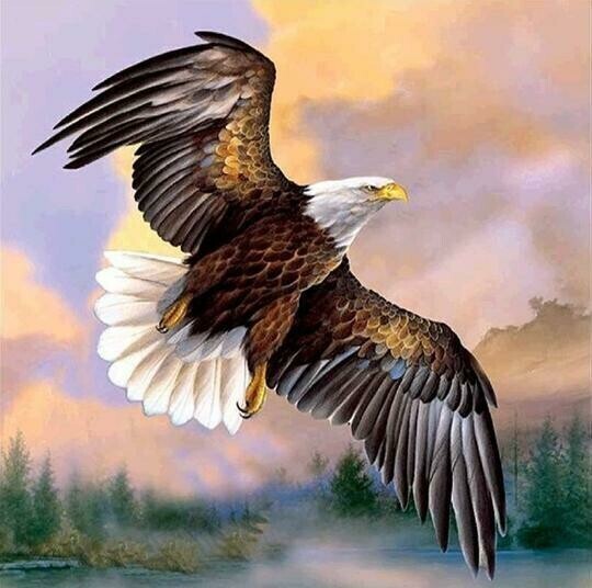Eagle 2 - Full Drill Diamond Painting - Specially ordered for you. Delivery is approximately 4 - 6 weeks.