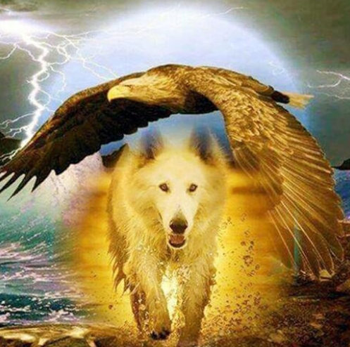 Eagle And Wolf - Full Drill Diamond Painting - Specially ordered for you. Delivery is approximately 4 - 6 weeks.