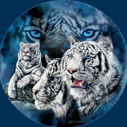 Four Tigers - Full Drill Diamond Painting - Specially ordered for you. Delivery is approximately 4 - 6 weeks.