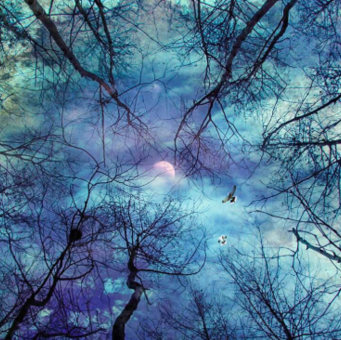 Forrest Skies - Full Drill Diamond Painting - Specially ordered for you. Delivery is approximately 4 - 6 weeks.
