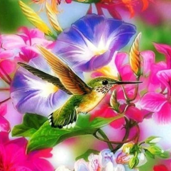 Hummingbird 02 - Full Drill Diamond Painting - Specially ordered for you. Delivery is approximately 4 - 6 weeks.