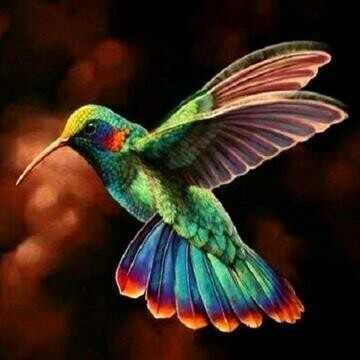 Hummingbird 03 - Full Drill Diamond Painting - Specially ordered for you. Delivery is approximately 4 - 6 weeks.
