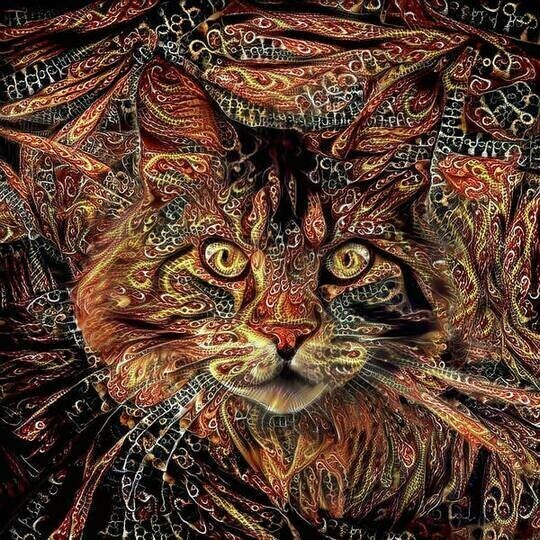 Maine Coon Cat  - Full Drill Diamond Painting - Specially ordered for you. Delivery is approximately 4 - 6 weeks.