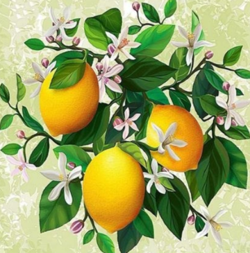 Lemons - Full Drill Diamond Painting - Specially ordered for you. Delivery is approximately 4 - 6 weeks.