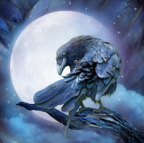 Moonlight Crow - Full Drill Diamond Painting - Specially ordered for you. Delivery is approximately 4 - 6 weeks.
