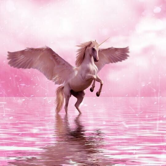 Pink Unicorn - Full Drill Diamond Painting - Specially ordered for you. Delivery is approximately 4 - 6 weeks.