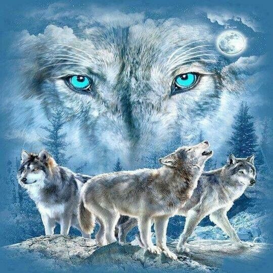 Wolves 2 - Full Drill Diamond Painting - Specially ordered for you. Delivery is approximately 4 - 6 weeks.