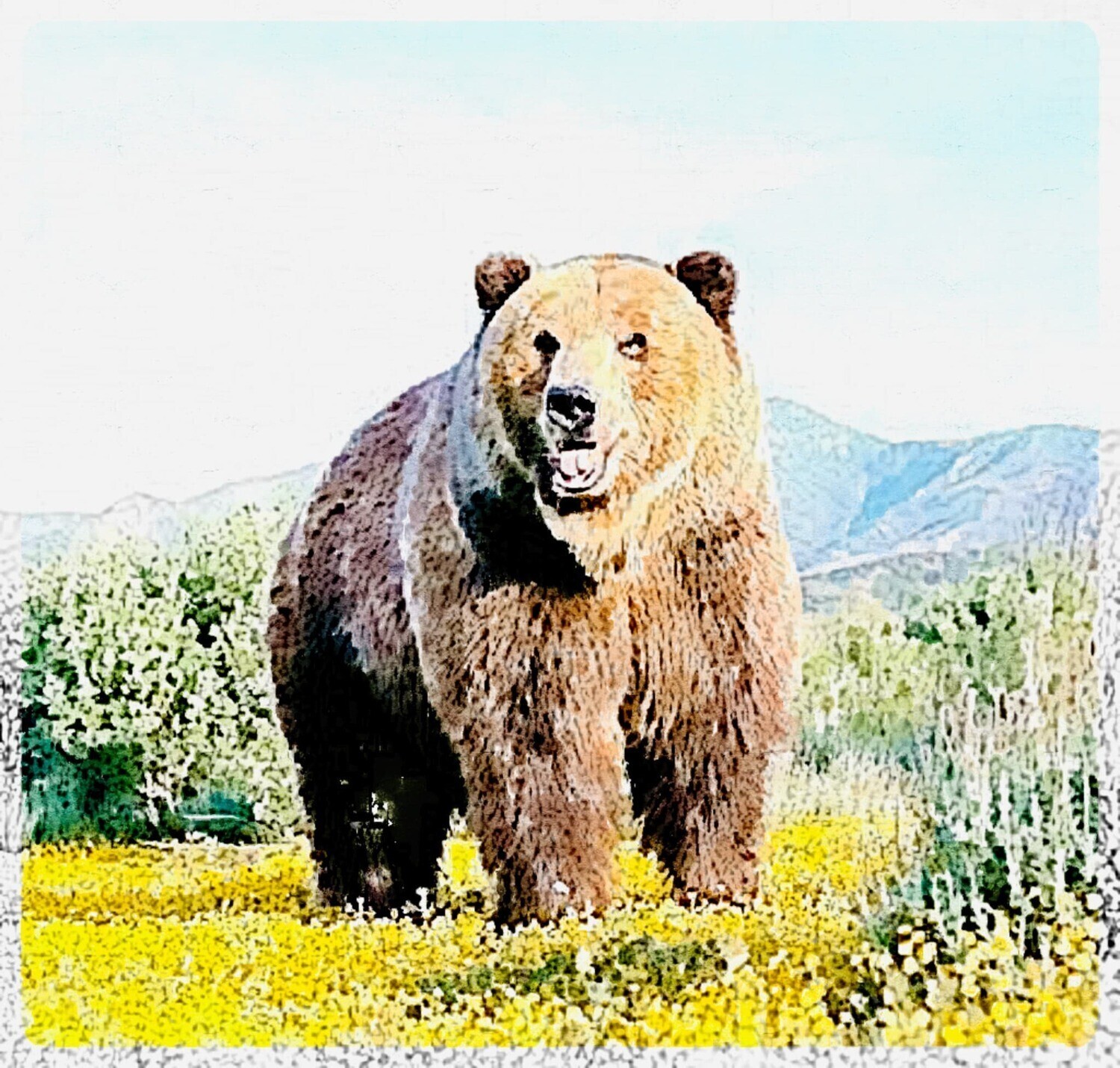 Watercolour bear - Full Drill Diamond Painting - Specially ordered for you. Delivery is approximately 4 - 6 weeks.