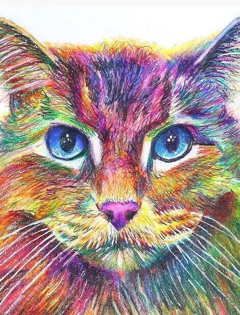 Colourful Cat 05 - 40 x 50cm Full Drill (Round), DOUBLE SIDED ADHESIVE CANVAS - Diamond Painting Kit - Currently in stock