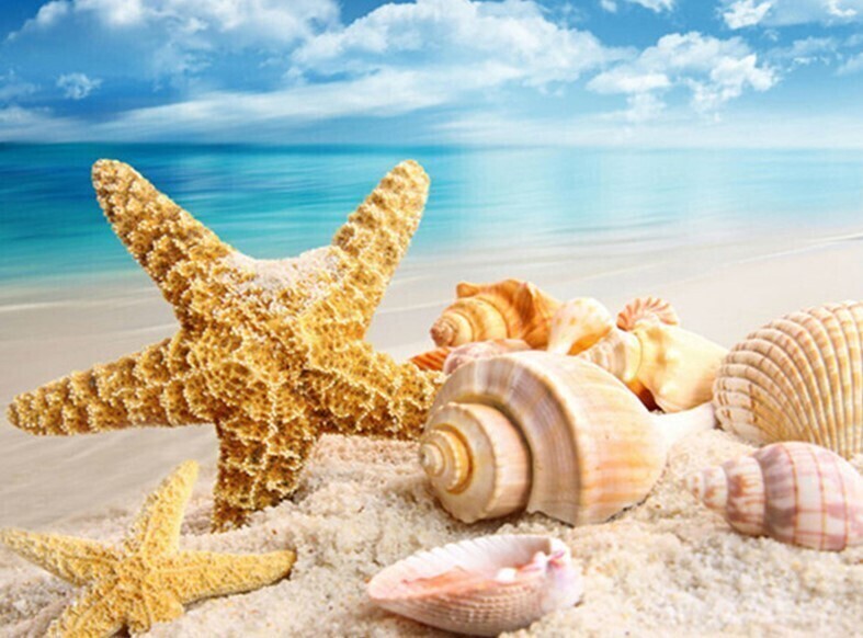 Shells on a Beach - 30 x 40cm Full Drill (Square) DOUBLE SIDED ADHESIVE CANVAS - Diamond Painting Kit - Currently in stock