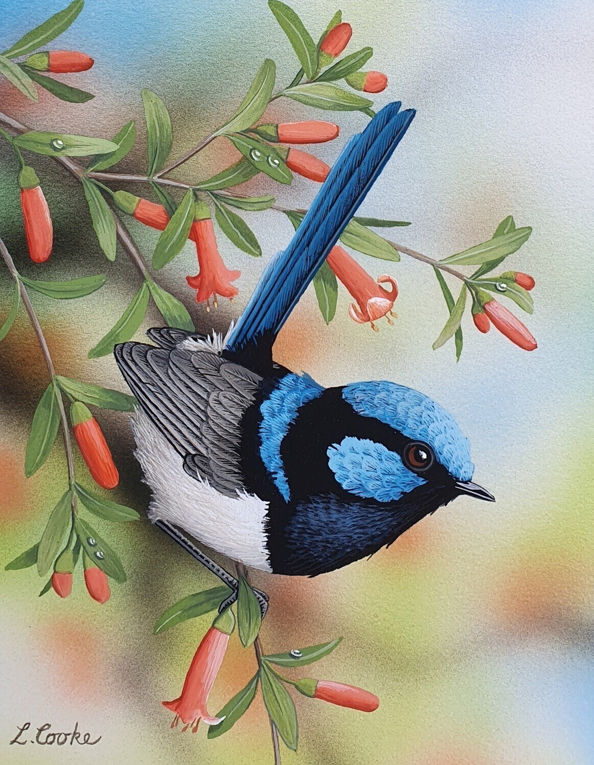 Superb Wren by Lyn Cooke - 30 x 40cm Full Drill (Round) Diamond Painting Kit - Currently in stock