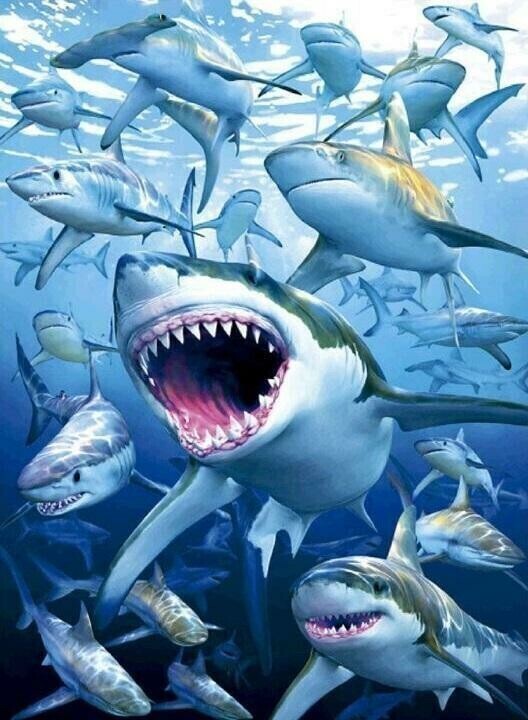 Sharks - 50 x 70cm - Full Drill (SQUARE), Diamond Painting Kit - Currently in stock