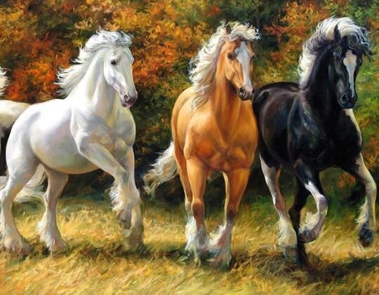 3 Horses - 50 x 70cm - Full Drill (round), POURED GLUE - Diamond Painting Kit - Currently in stock