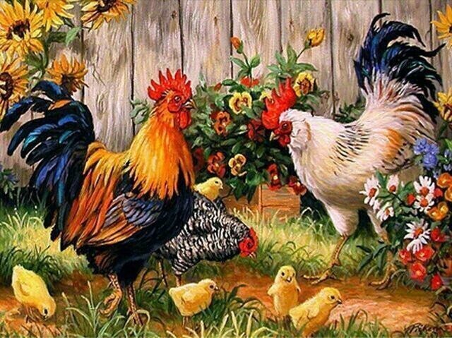 Chickens - 40 x 50cm Full Drill (Square), POURED GLUE - Diamond Painting Kit -Currently in stock
