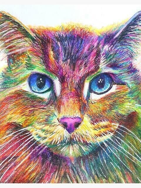 COLOURFUL CAT FACE - 30 x 40cm Full Drill AB Kit, (Round) with 29 colours (3 ABs) - Currently in stock