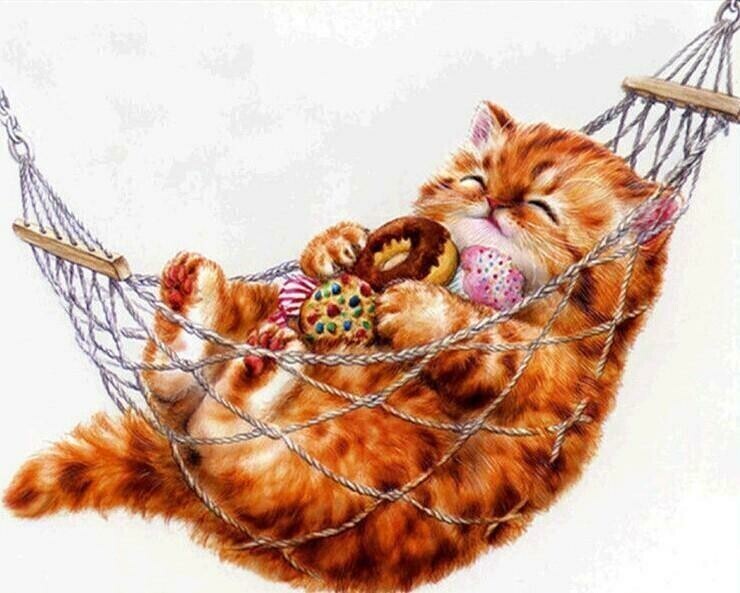 Cat In Hammock - 40 x 50cm Full Drill (Round), POURED GLUE - Diamond Painting Kit