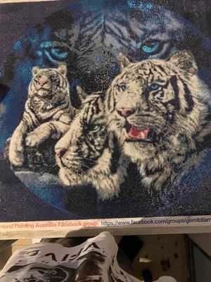 Four Tigers 70 x 70cm by Neil Taylor