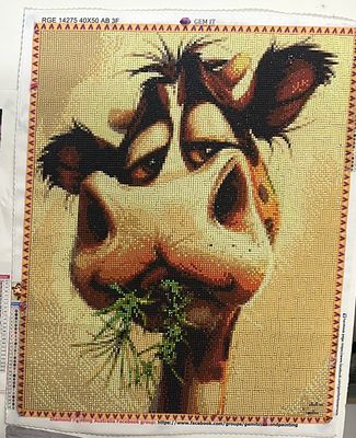 Cow by Constanza Caseres