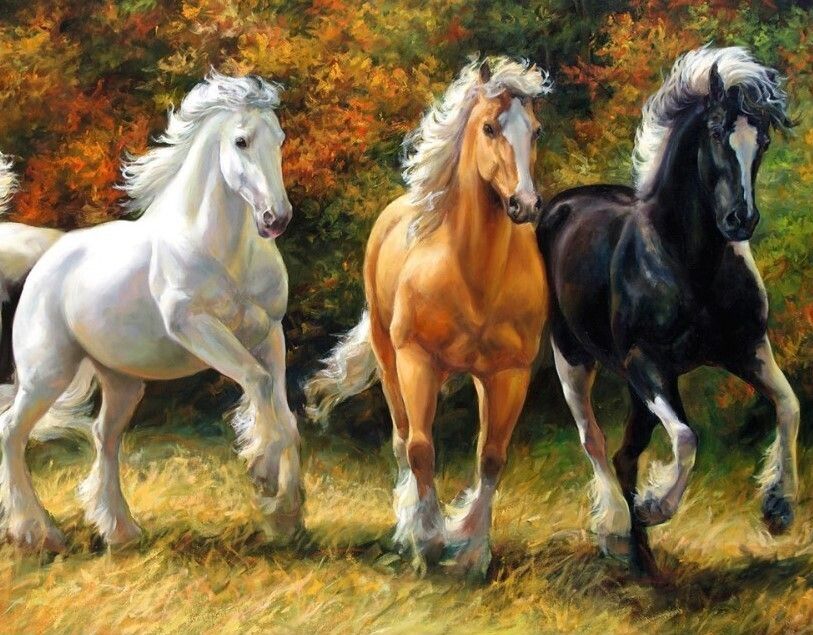 3 Horses - Full Drill Kit, (Round drills) - 50 x 70cm Currently in stock
