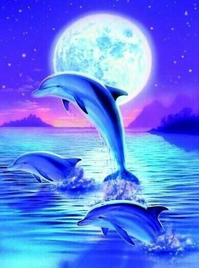 Dolphin Trio - DELUXE Full Drill Kit with ABs, (Round drills) - 50 x 70cm Currently in stock