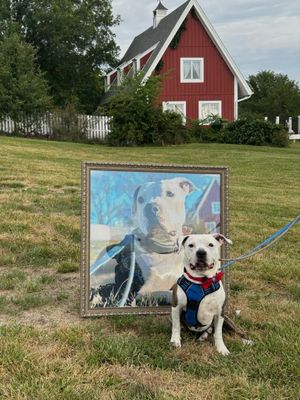 CUSTOM MADE DIAMOND PAINTINGS - Use Your Own Photo or Image