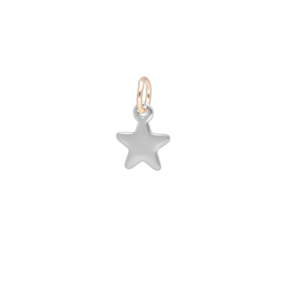 Stella argento con contromaglia oro rosa 9 kt
