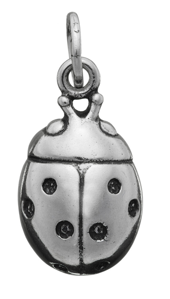 Charm Coccinella grande