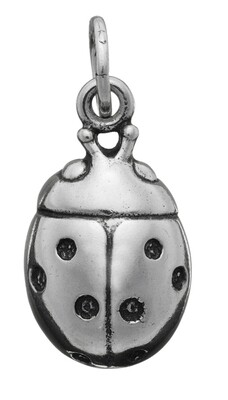 Charm Coccinella grande