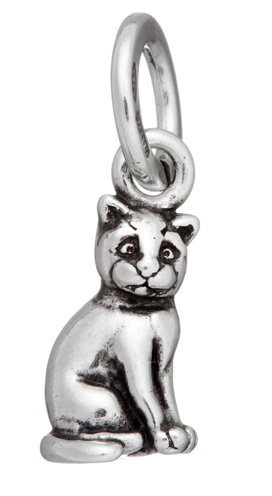 Charm Gatto