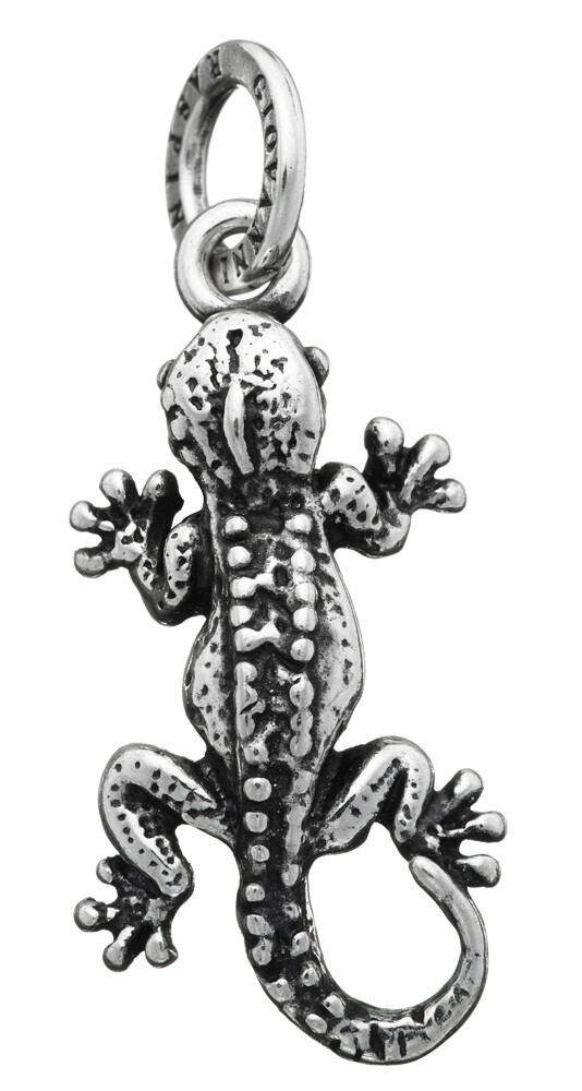 Charm Geco
