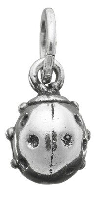 Charm Coccinella media