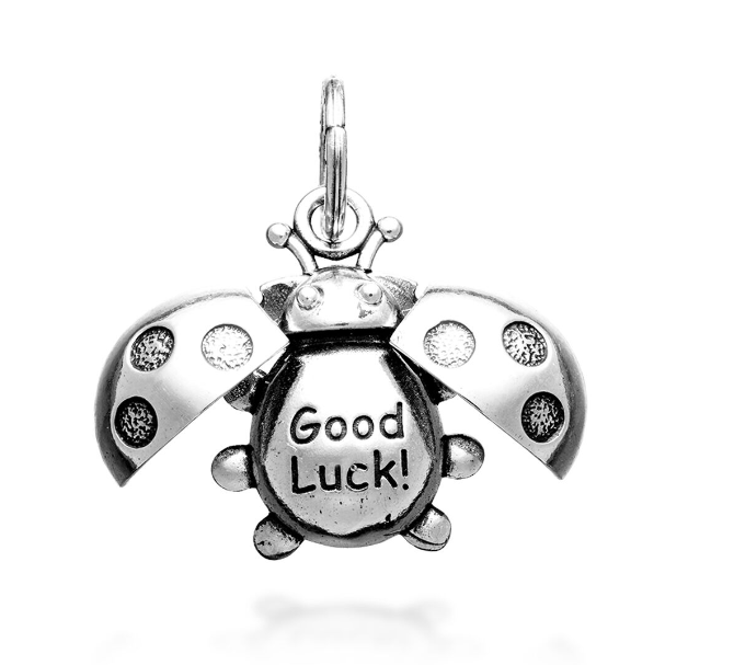 Charm Coccinella Good luck