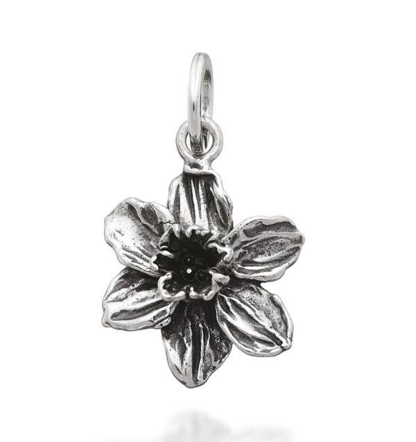 Charm Narciso