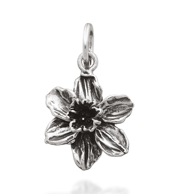 Charm Narciso