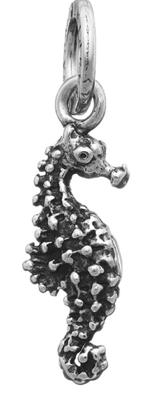 Charm Cavallucci Marini