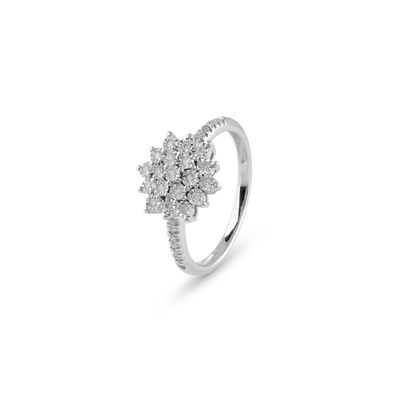 Anello Elisir