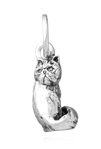 Charm Gatto Persiano