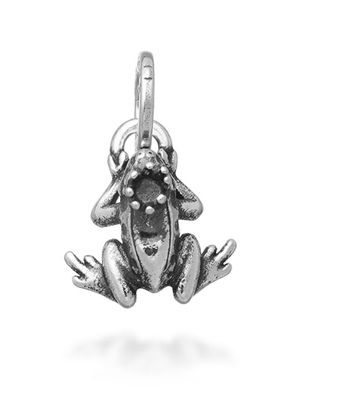 Charm Mini Principe Ranocchio