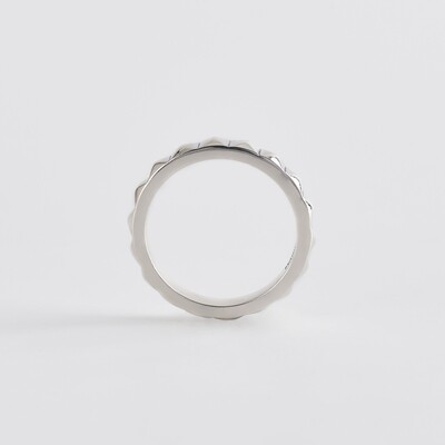 ANELLO CON BORCHIE