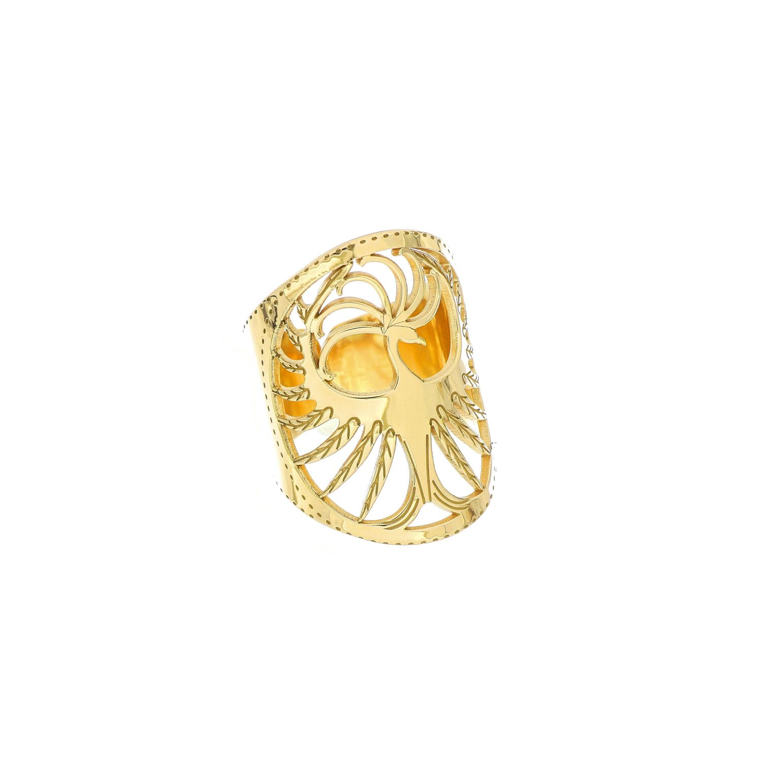 Anello Fenice Anello Fenice