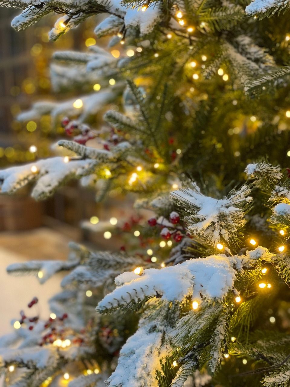 Workshop-🎄✨ Messages from the Mistletoe – An Afternoon of Spirit &amp; Holiday Magic ✨🎄 Sunday December 7th/2025  3:00-6:00pm