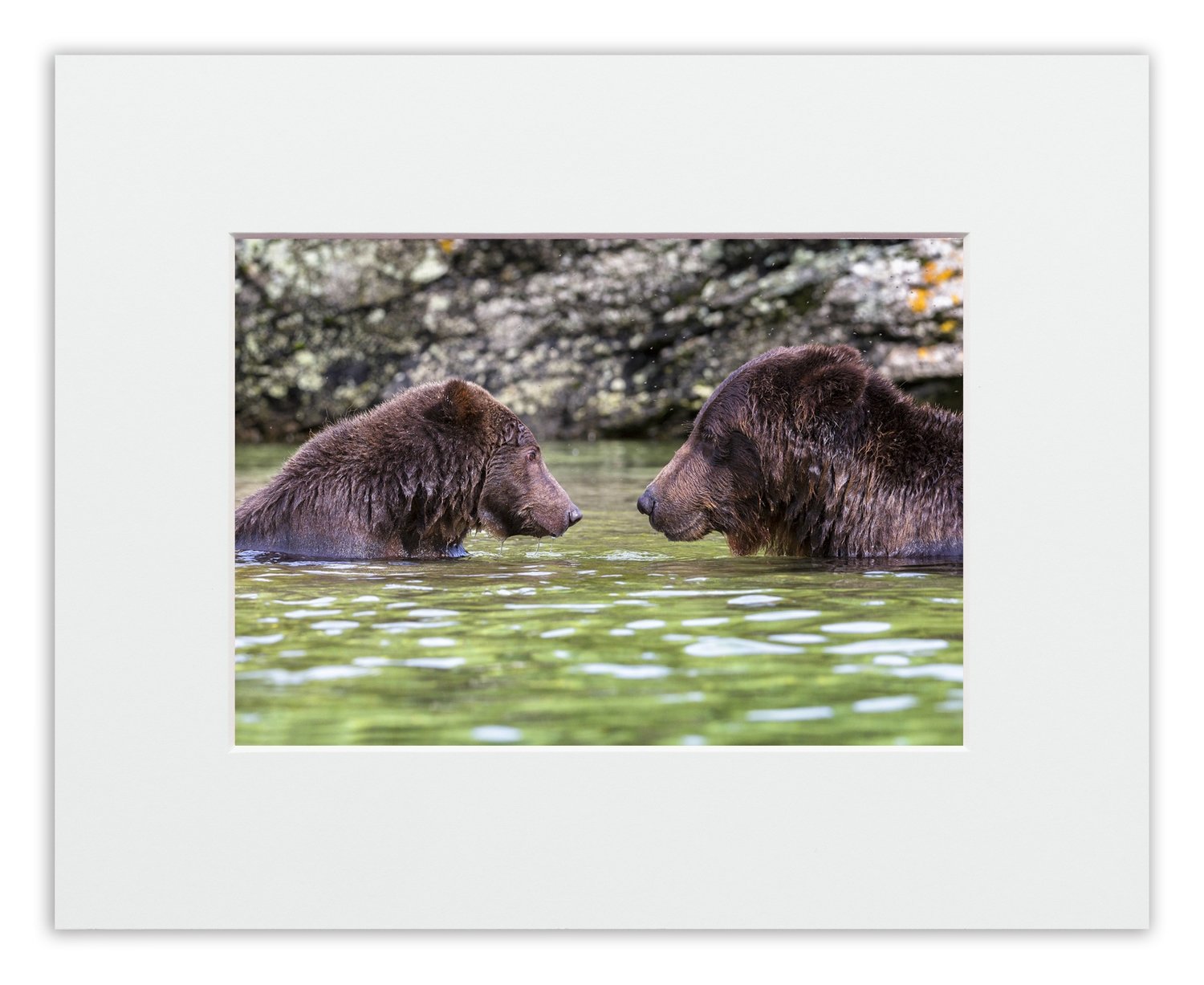 Coffee Chat Between Bear Friends: 5x7 ready-to-frame print