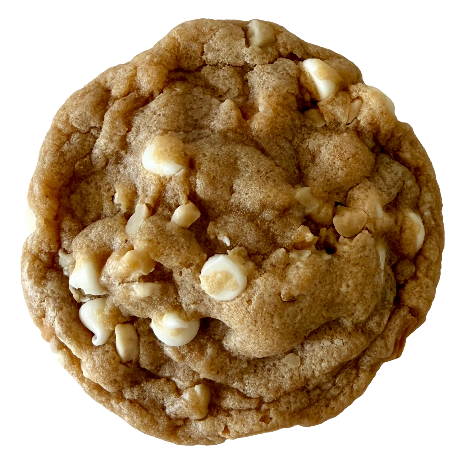 White Chocolate Macadamia