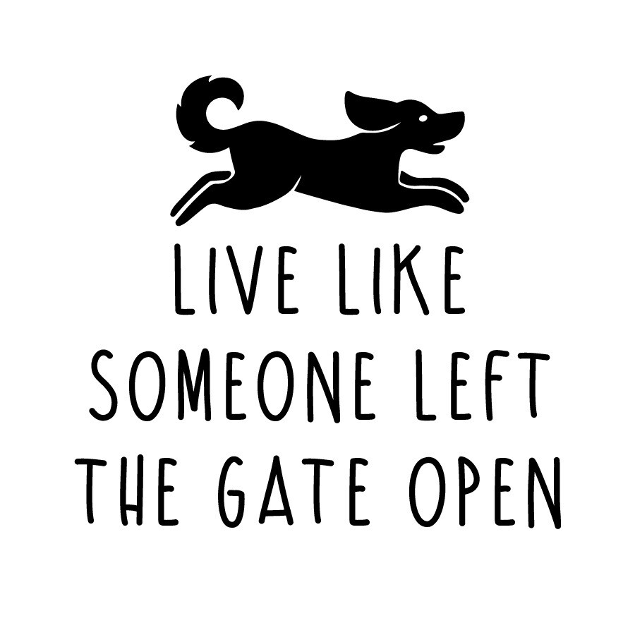 Live Like Someone Left the Gate Open Stemless Wine Glass