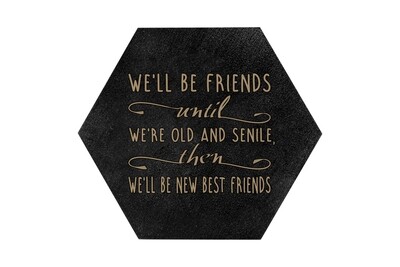 We'll Be Friends until We're Old and Senile, then We'll be New Best Friends HEX Hand-Painted Wood Coaster Set