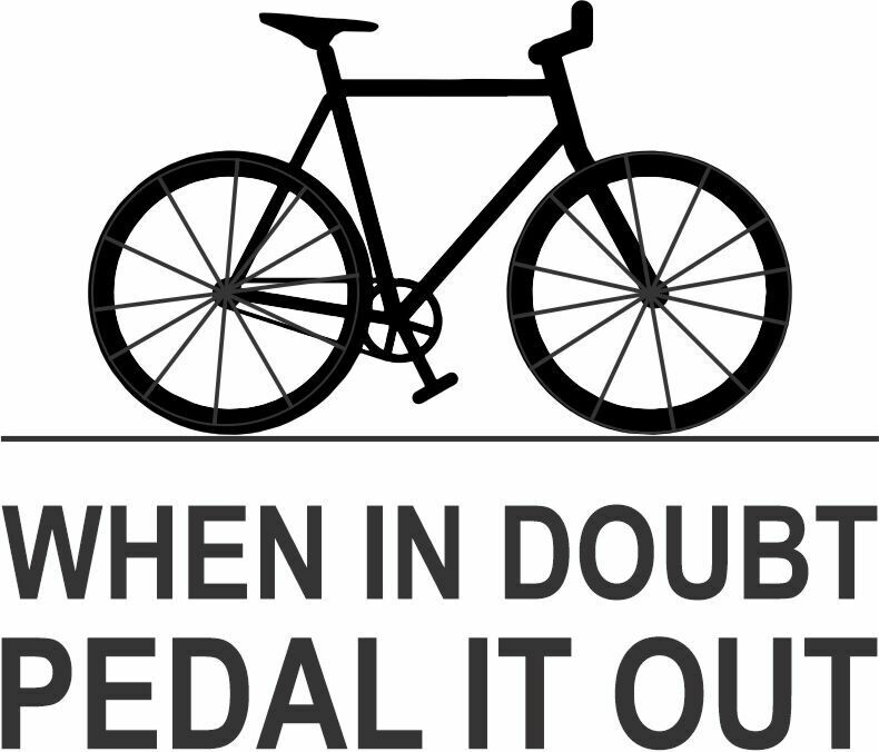When in doubt Pedal it Out Insulated Tumbler 30 oz