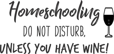 Homeschooling do not disturb unless you have Tumbler 30 oz