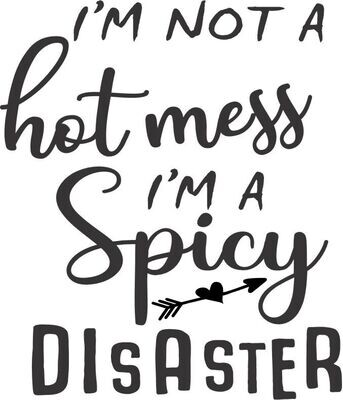 I'm not a Hot Mess I'm a Spicy Disaster Insulated Pilsner 14 oz